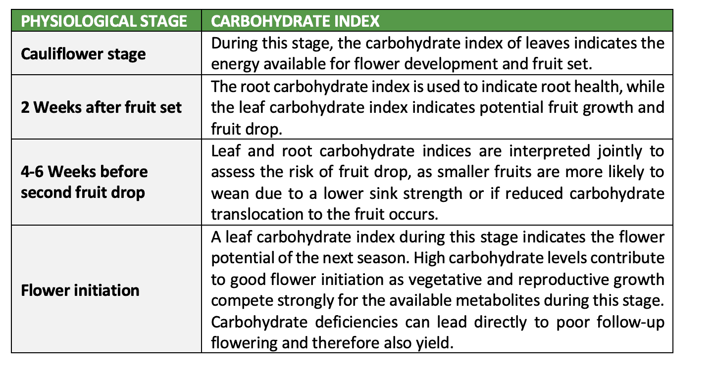 Carbohydrates in Avocados