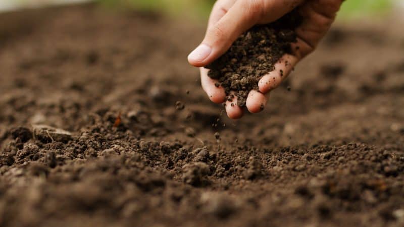 Soil Health