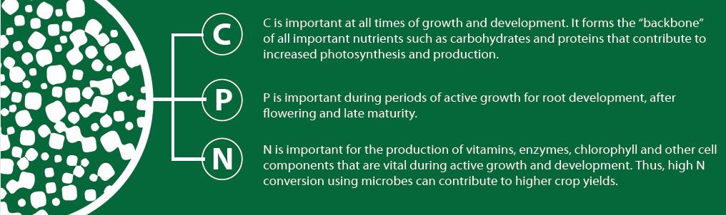 Soil Health