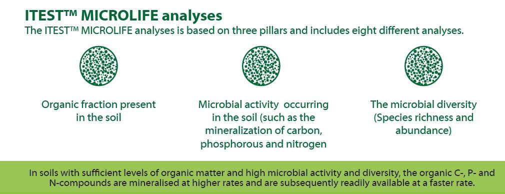 Soil Health