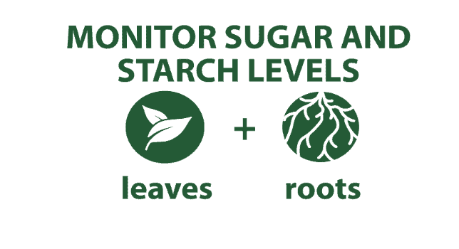 ITEST CARBOHYDRATES