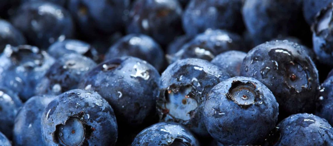 Blueberries_shutterstock_146861537_RGB 300dpi copy