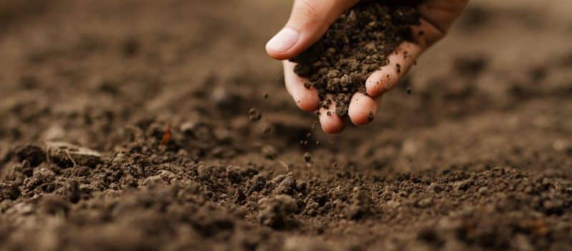 Soil Health